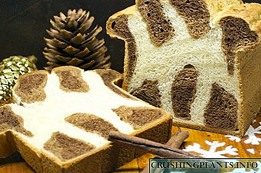 Briquet de leopardo: pan doce para o Nadal