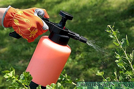 Ljetni vrtni tretman biološkim proizvodima od štetočina