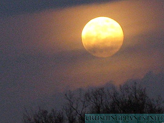 Լուսնային օրացույց: 2010 թվականի օգոստոս