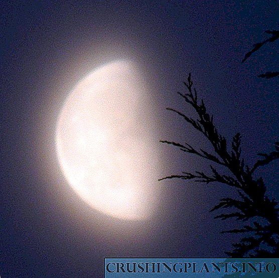 Kalénder lunar. Maret 2010
