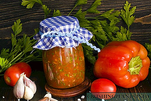 Lutenitsa - bolgar qalampiri va pomidor sousi