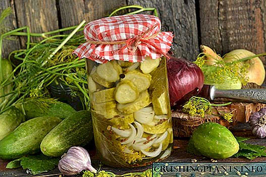 Pickled cucumbers tare da citric acid da'irori