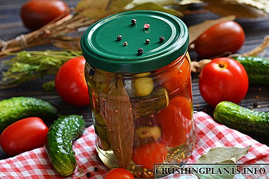 Timun pickled karo tomat - macem-macem musim panas kanggo mangsa