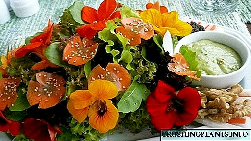 Nasturtium: добро и за градината и за салата