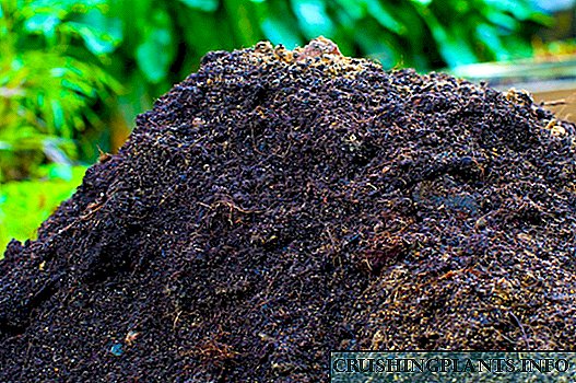 Stajski gnoj je najbolje organsko gnojivo