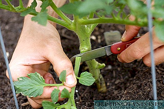 Naha kuring kedah angkat daun anu langkung handap tomat?