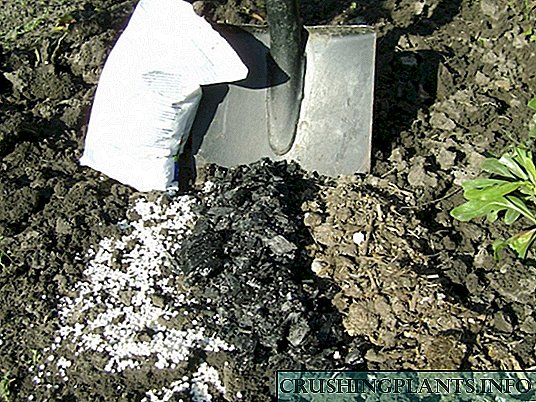 Tungkol sa mga potash fertilizers nang detalyado