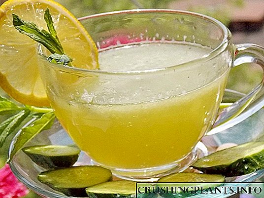 Ikhukhamba Lemonade