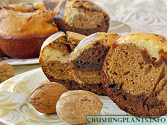 Muffin Ċikkulata tal-Walnut