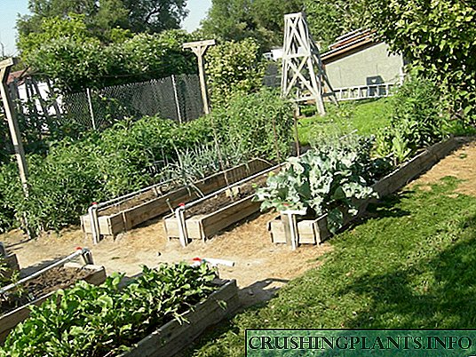 Mittlider Gardening Basics