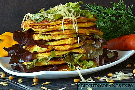 Pancakes Vegetable with squash and parmesan