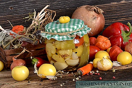 Sayuran macem-macem kanggo musim dingin karo physalis, mrico lan tomat