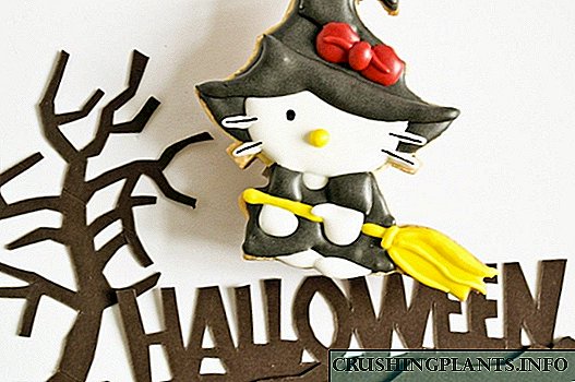 Mga cookies sa Halloween na "Kitty Witch"