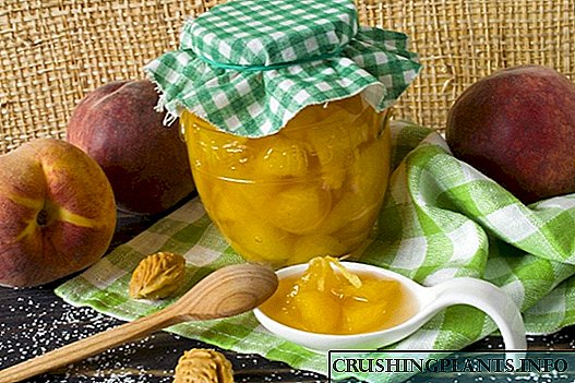 Ginger Syrup Canned Peaches