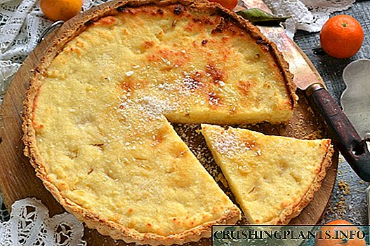 Shortcake na may cottage cheese, pinya at niyog