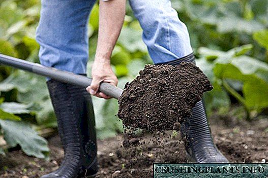 မြေဆီလွှာများ: နွေဦးစပါးစိုက်ပျိုးချိန်အဘို့ဆိုက်ကိုပြင်ဆင်မှု