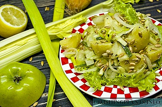 Kərəviz və alma ilə yağsız kartof salatı