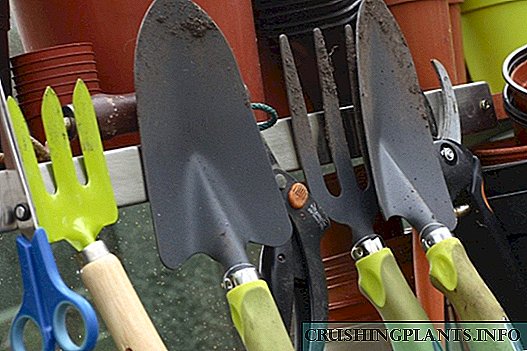 اپنے باغ میں کام کرنے کے ل tools ٹولز کا انتخاب کرنے کا صحیح نقطہ نظر۔