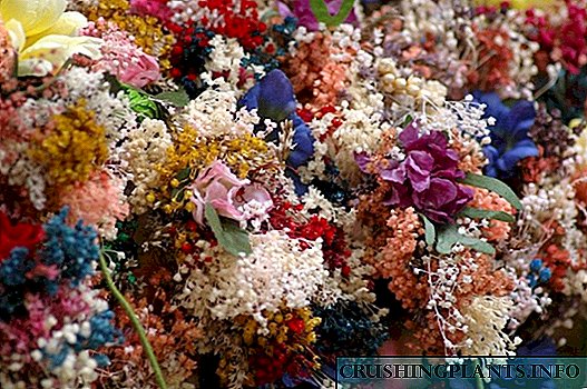 Ka'idojin tsara bushewar bouquets