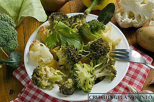 Zierja e brokolit me pulë