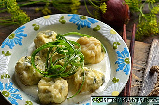 Ravioli - dumplings bê goşt Italian