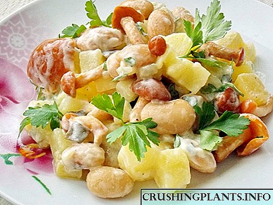 Rustic salat með súrsuðum sveppum