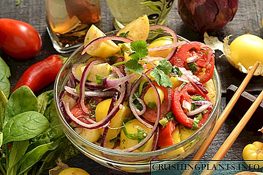 Physalis Salad nga adunay Tomato ug Spinach