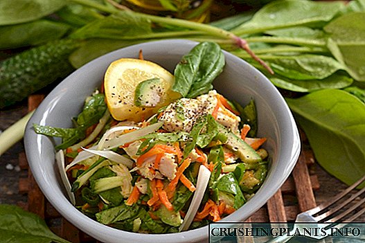 Chicken Salad na may Avocado at Cucumber