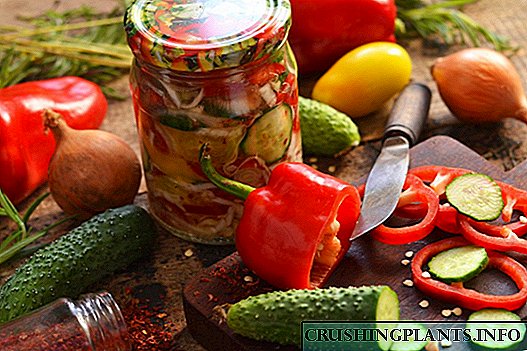 Зимска салата „Витамин“ со зелка, домати, пиперки и краставици