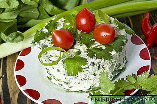 Kəsmik, ispanaq və cilantro ilə salat