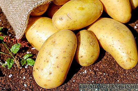 Geheimnisse vun enger fréierer Kartoffel Harvest