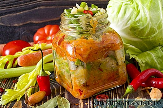 Qish uchun sabzavotli salat