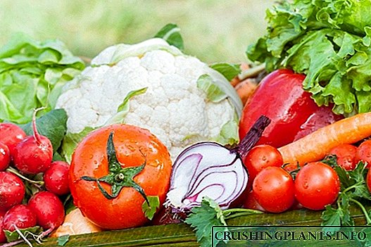 د پیل کونکو لپاره لارښوونې: د سبزیجاتو لومړني محصولات او د فصل تناوب