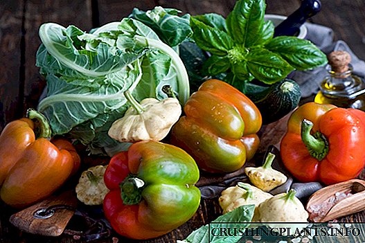 Savjeti za branje najsvježijeg povrća