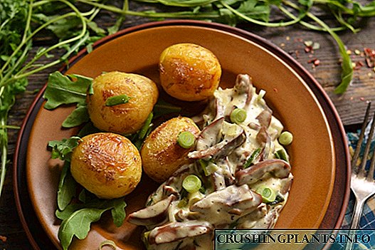 Свинско бубрег во павлака со кромид и компири