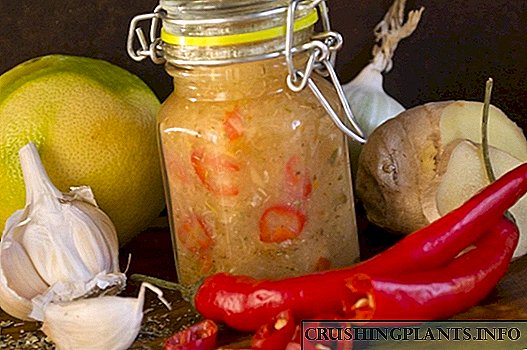 Salsa de chile tailandés con cebola e xenxibre