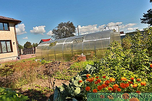 Greenhouses "in Kremlin" et "Bogatyr"