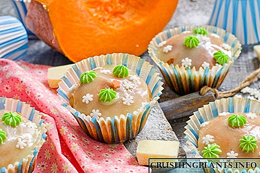 White Chocolate Pumpkin Cupcakes
