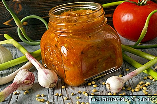 Paradajz sos - indijski paradajz sos