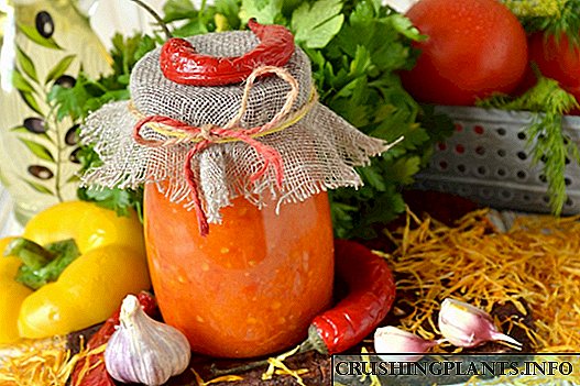 Saws tomato "Gwreichionen" o domatos ffres