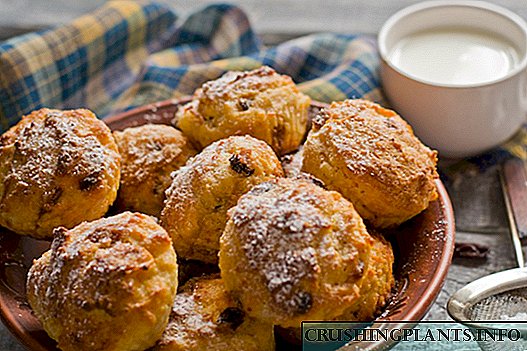 Curd muffins með gulrótum, rúsínum og kanil