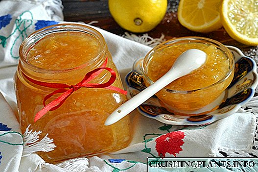 Лимон жасалган Jam - жөнөкөй рецепт