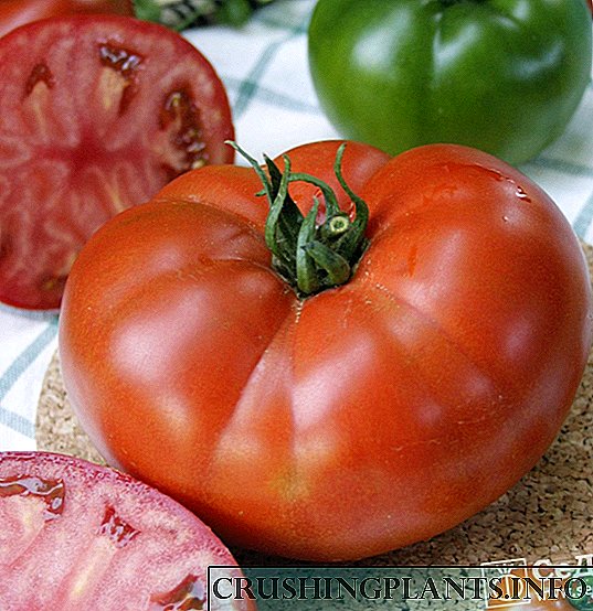 Tomato Wabwino. Kukula kwakukulu, katundu wamkulu
