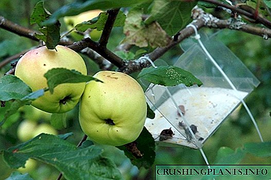 સફરજન જીવાતો અને નિયંત્રણ પદ્ધતિઓ