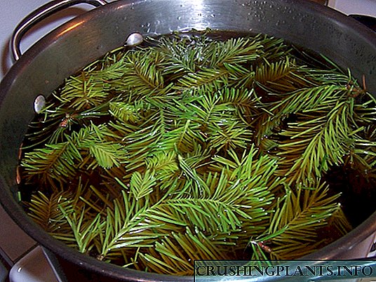 Perlindhungan tanduran karo infus nettle, horsetail lan fern