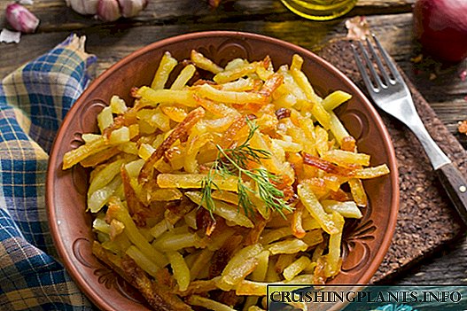 Пржени компири во рерна - кога сакате да се лекувате