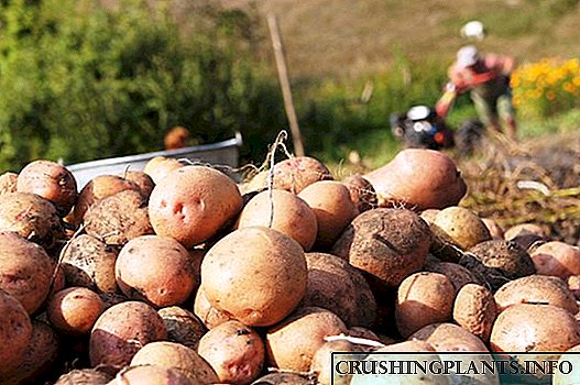 Cara nganyarke macem-macem kentang: 5 cara