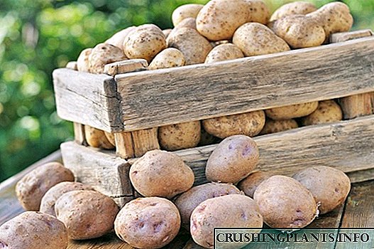 Како да ги чувате компирите во станот
