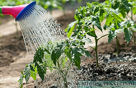 Наводнување градина со недостаток на вода: метод на вештачка роса