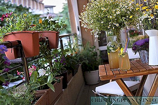 Качување растенија за балкон